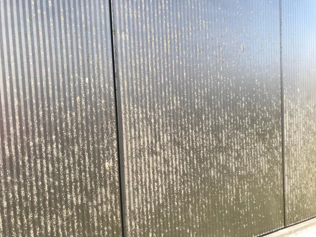 Speciaal reiniging van Heemskerk (2)-d102db02